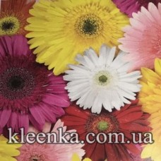 Клейонка щільна на флізеліновій основі 20м. Китай - K-4495