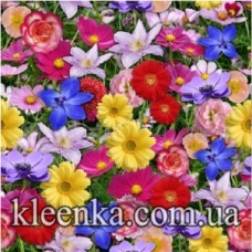 Клейонка Любава пвх на флізеліновій основі 25 м Китай - WF-4615-A