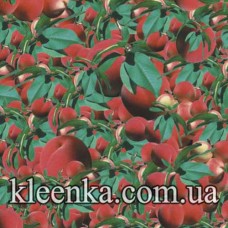 Клейонка силікон авангард 1.4 без основи 30 м Китай - TT-2487