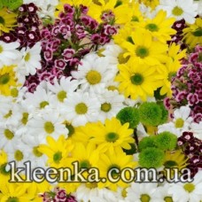 Клейонка Італія Люкс на флізеліновій основі 20 м Туреччина - 4497