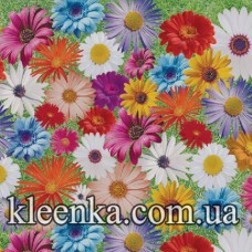 Клейонка Декор 1.2 без основи 50 м Туреччина - 040