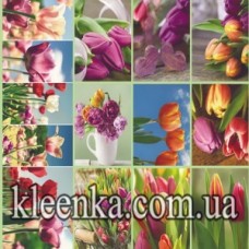Клейонка Фотодрук на тканинній основі Китай - 5620