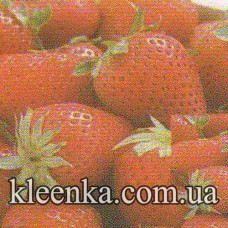 Термосалфетка ре на основе 42-27 см-TSA69