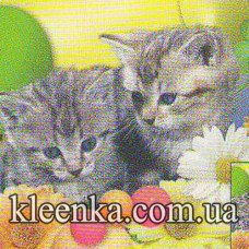 Термосалфетка ре на основе 42-27 см-TSA86