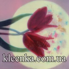 Термосалфетка ре на основе 42-27 см-TSA15