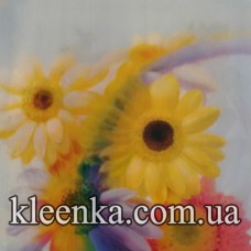 Термосалфетка ре на основе 50x50 см-TSB15