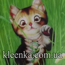 Термосалфетка ре на основе 50x50 см-TSB6