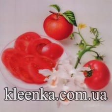 Термосалфетка ре на основе 50x50 см-TSB8