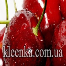 Термосерветка PP Любава без основи 100x60 см - TSPP-003