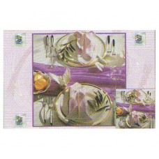 Термосалфетка рр без основы 41-26 см-TSC44