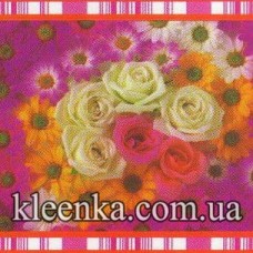 Термосерветка PVC на основі 100x60 см - KZ-3345-B