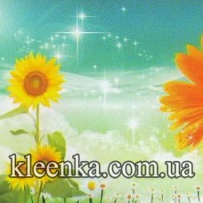 Термосерветка PVC на основі 100x60 см - KZ-3356-A